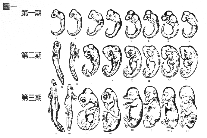 oc40fig1.gif (95619 bytes)